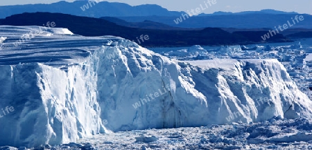 Eisberge am Kangia Eisfjord