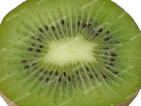 Kiwi im Anschnitt