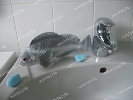 Fisch auf Waschbecken