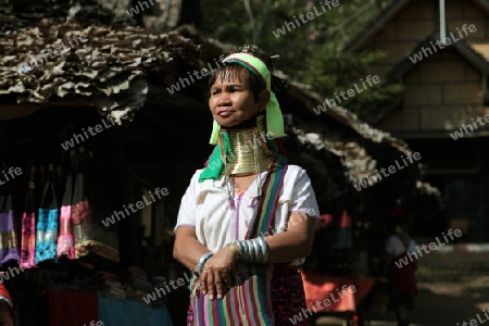 Eine Traditionell gekleidete Langhals Frau eines Paudang Stammes aus Burma lebt in einem Dorf noerdlich von Chiang Mai in Nord Thailand. 