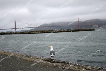 Golden Gate Br?cke in San Francisco