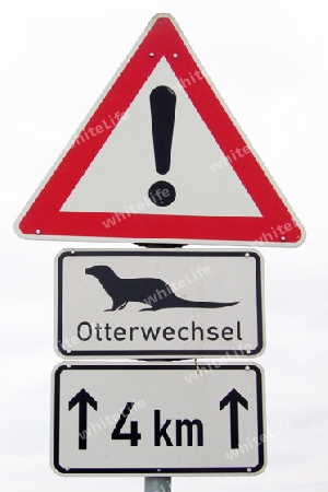 Otterwechsel