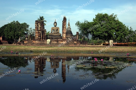 Der Wat Mahathat Tempel in der Tempelanlage von Alt-Sukhothai in der Provinz Sukhothai im Norden von Thailand in Suedostasien.