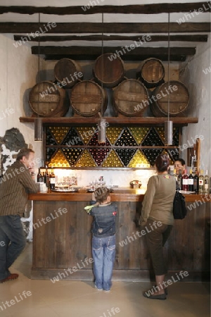 a wine farm in the centre of the Island of Lanzarote on the Canary Islands of Spain in the Atlantic Ocean.
