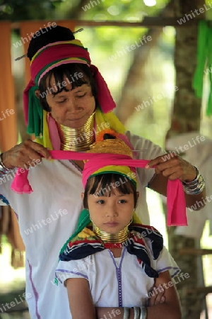 Eine Traditionell gekleidete Langhals Frau eines Paudang Stammes aus Burma lebt in einem Dorf noerdlich von Chiang Mai in Nord Thailand.