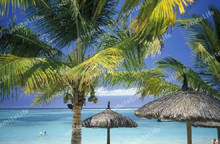 Ein Sandstrand an der Westkueste von Mauritius im Indischen Ozean. 