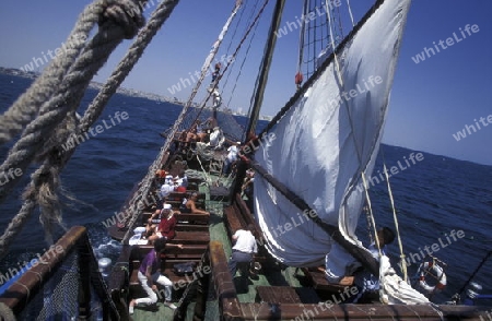 Afrika, Tunesien, Mahdia
Ein Touristen Tour Segelschiff in der Bucht der Kuestenstadt Mahdia in Central Tunesien. (URS FLUEELER)










