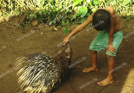 Kind mit Stachelschwein