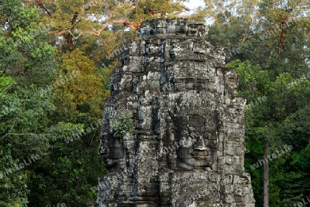 Stone Faces the Tempel Ruin of Angkor Thom in the Temple City of Angkor near the City of Siem Riep in the west of Cambodia.