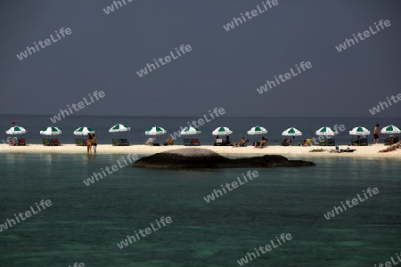 Die Strand und Insellandschaft auf der Insel Koh Naang Yuan neben der Insel Ko Tao im Golf von Thailand im Suedwesten von Thailand in Suedostasien. 