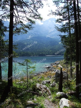 Eibsee mit Zugspitze