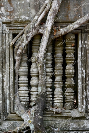 The Tempel Ruin of  Beng Mealea 32 Km north of in the Temple City of Angkor near the City of Siem Riep in the west of Cambodia.