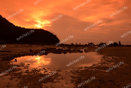 A Beach in the Town of Ko PhiPhi on Ko Phi Phi Island outside of  the City of Krabi on the Andaman Sea in the south of Thailand. 