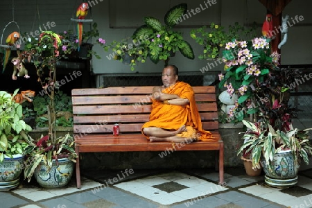 Die Architektur des Wat Phra That Doi Suthep Tempel in Chiang Mai im Norden von Thailand.