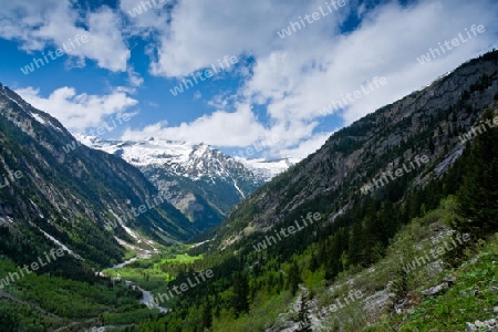 Im Floitengrund bei Ginzling/?sterreich