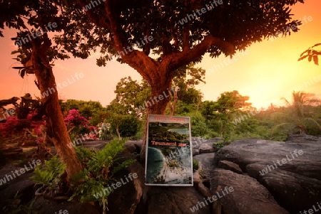 The view from the Viewpoint on the Town of Ko PhiPhi on Ko Phi Phi Island outside of the City of Krabi on the Andaman Sea in the south of Thailand. 