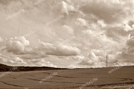 Landschaft, schwarz- wei?