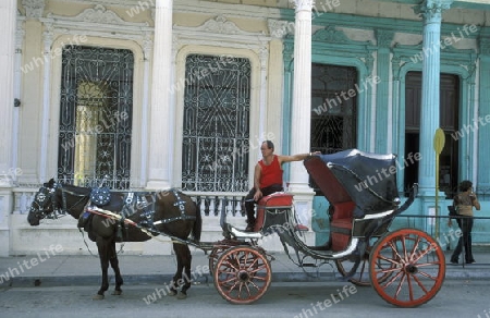 a horse cart Taxi transport in the old town of cardenas in the provine of Matanzas on Cuba in the caribbean sea.