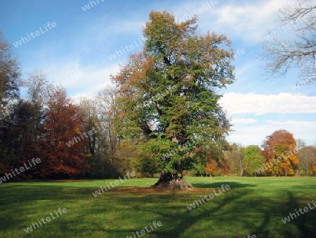 Englischer Garten M?nchen