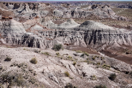 Petrified Forrest Naturpark USA 3