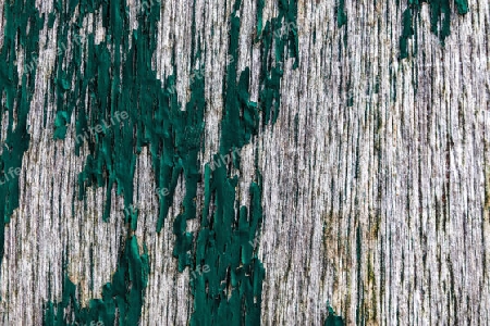 Detailed close up view on different wood surfaces showing planks logs and wooden walls in high resolution