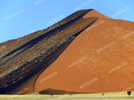 riesige Sandd?nen im letzten Abendlicht,  Namib Naukluft Nationalpark, Sossusvlei, Namibia, Afrika