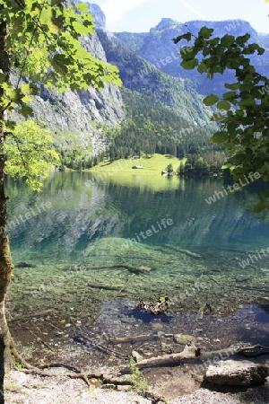 Obersee