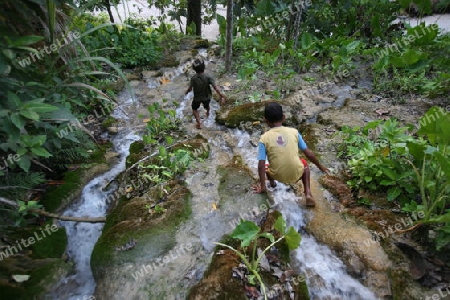 Die Landschaft bei Loihuno in Zental Ost Timor auf der in zwei getrennten Insel Timor in Asien. 