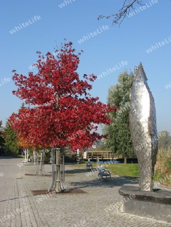 Herbst an der Peene