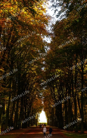 Herbst Schloss Br?hl