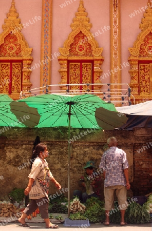 Der Markt vor dem Wat Mung Muang am Morgen in der Altstadt von Chiang Rai in der Provinz chiang Rai im Norden von Thailand in Suedostasien.