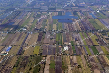 Die Landwirtschaft am rande der Stadt Bangkok in Thailand in Suedostasien.