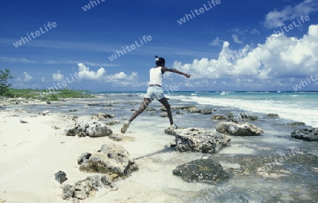 a beach on the coast of Varadero on Cuba in the caribbean sea.