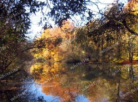 Herbst in Englischer Garten