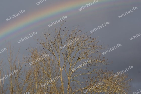 Regenbogen