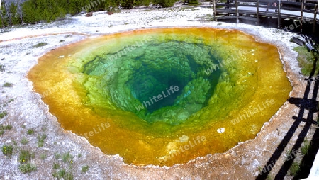 Morning Glory Pool