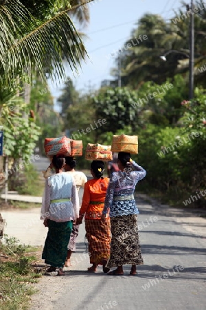 Asien, Suedost, Indonesien, Bali, Nusa Lembongan, Insel, Dorf, Fest, Religion, Hindu, Zeremonie, Kultur,    (Urs Flueeler) 