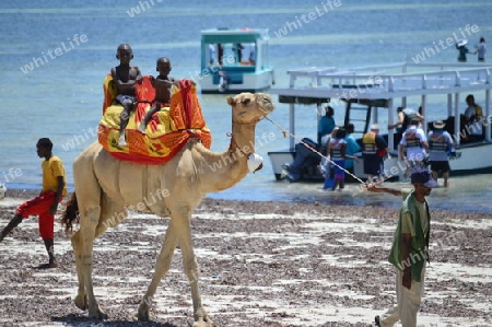 Bamburi Beach