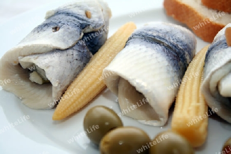 Rollmops