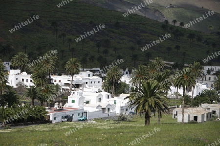 a traditional withe House on the Island of Lanzarote on the Canary Islands of Spain in the Atlantic Ocean.
