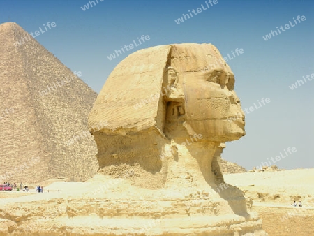 Sphinx