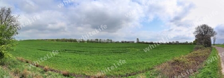 Beautiful high resolution panorama of a northern european country landscape with fields and green grass.