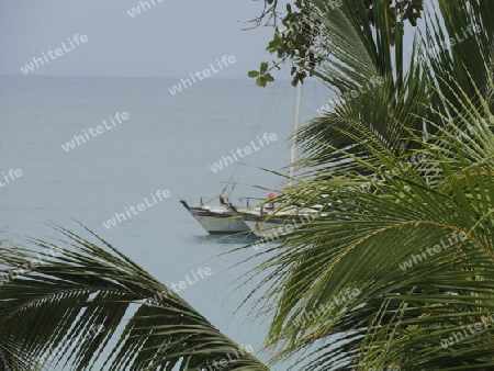 Katamaran  Seychellen