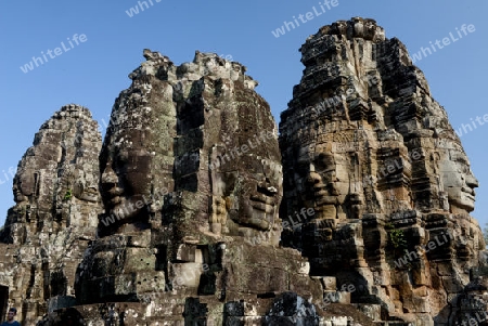 Stone Faces the Tempel Ruin of Angkor Thom in the Temple City of Angkor near the City of Siem Riep in the west of Cambodia.