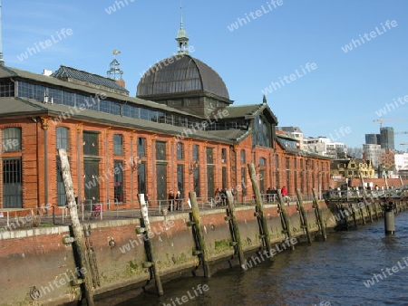 Fischauktionshalle in Hamburg Altona