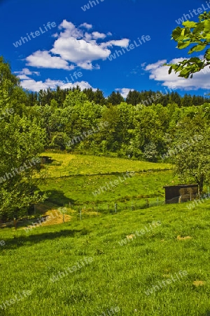 Berglandschaft, Weg, Wiese, H?tte, Stall, Felder,