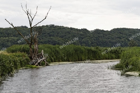 Nationalpark Unteres Odertal