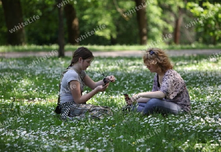 People in a Parc in the old City of Vilnius in the Baltic State of Lithuania,  