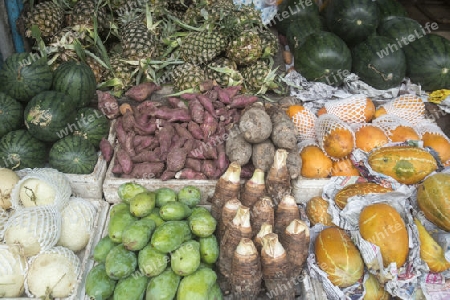 Fruits at the morning Market in Nothaburi in the north of city of Bangkok in Thailand in Southeastasia.