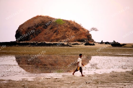 Die Landschaft bei Metinaro an der Nordkueste von Ost Timor auf der in zwei getrennten Insel Timor in Asien.  